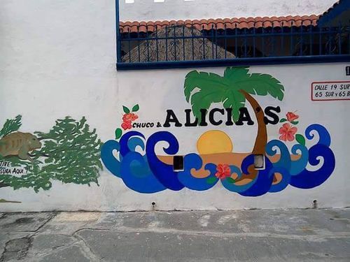 Alicia'S Bed & Breakfast Cozumel Dış mekan fotoğraf