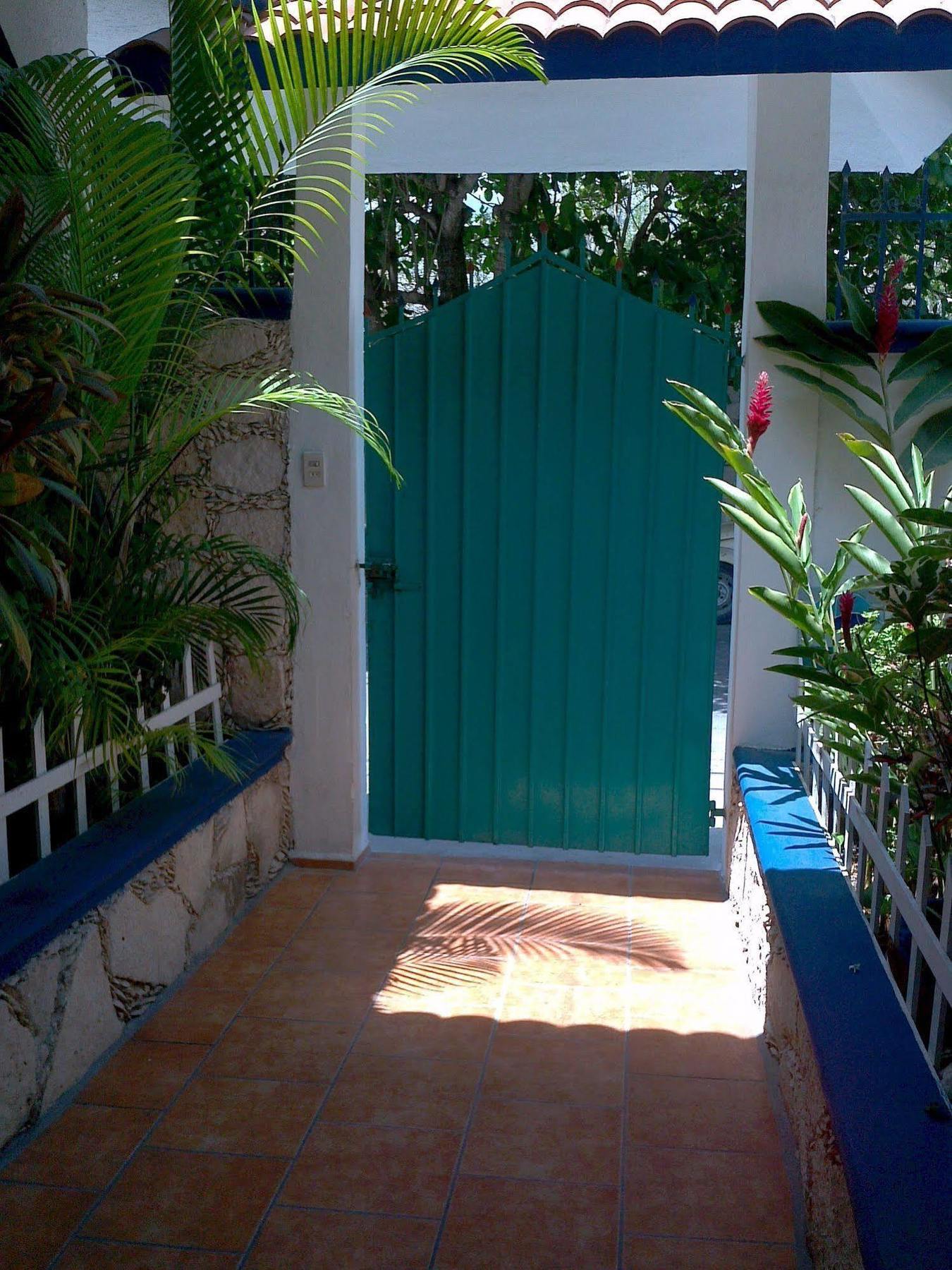Alicia'S Bed & Breakfast Cozumel Dış mekan fotoğraf