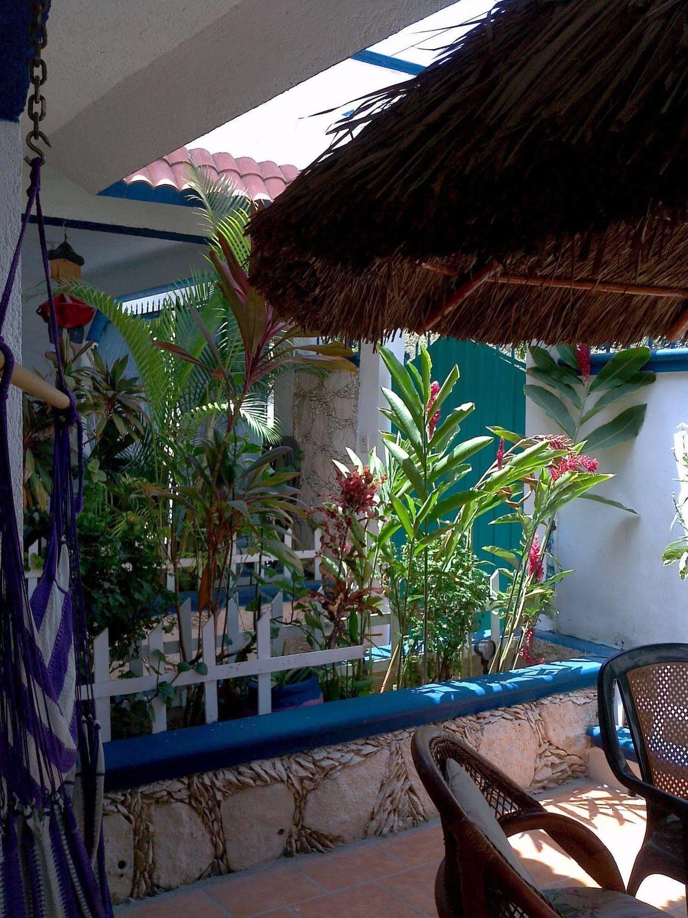 Alicia'S Bed & Breakfast Cozumel Dış mekan fotoğraf