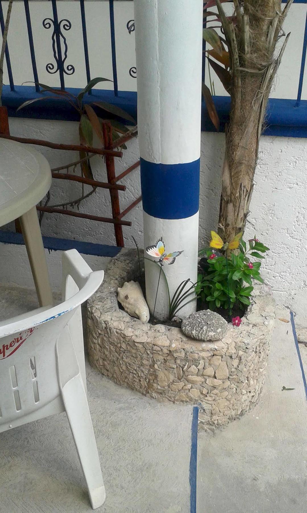 Alicia'S Bed & Breakfast Cozumel Dış mekan fotoğraf
