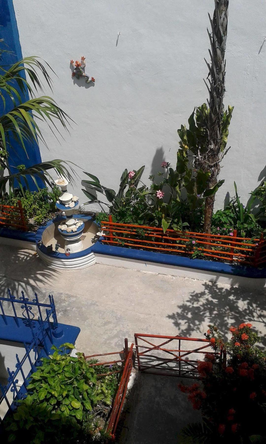 Alicia'S Bed & Breakfast Cozumel Dış mekan fotoğraf