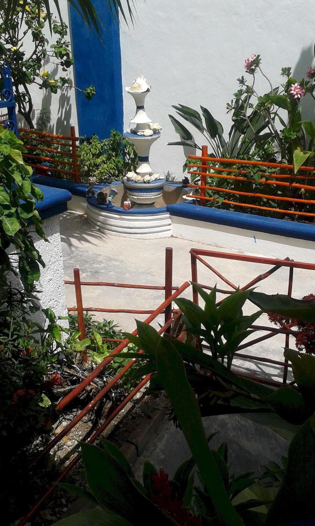 Alicia'S Bed & Breakfast Cozumel Dış mekan fotoğraf